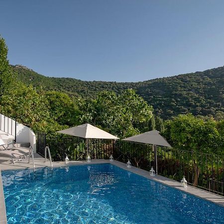 Stunning Home Benamahoma 4 Bed - Sierra Grazalema Dış mekan fotoğraf
