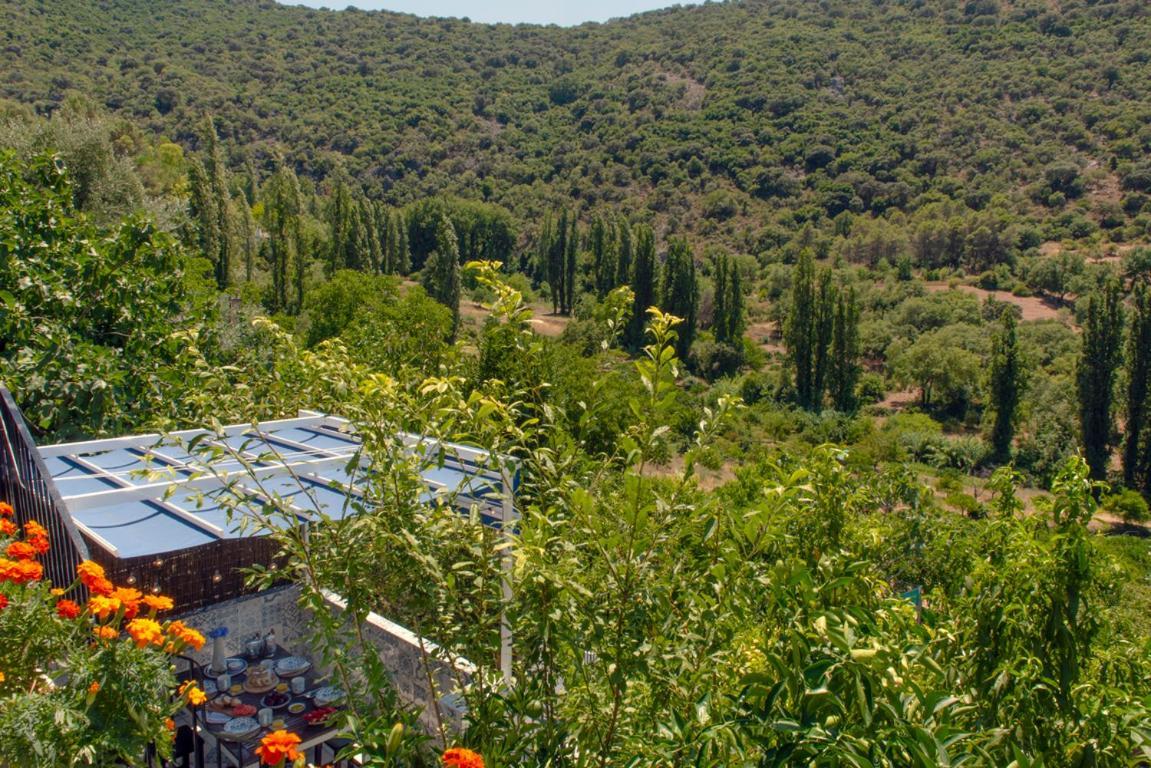 Stunning Home Benamahoma 4 Bed - Sierra Grazalema Dış mekan fotoğraf
